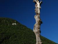 Kristus na stromě-kříži